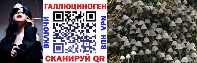 наркота гидра Псилоцибиновые грибы Psilocybine cubensis Алупка